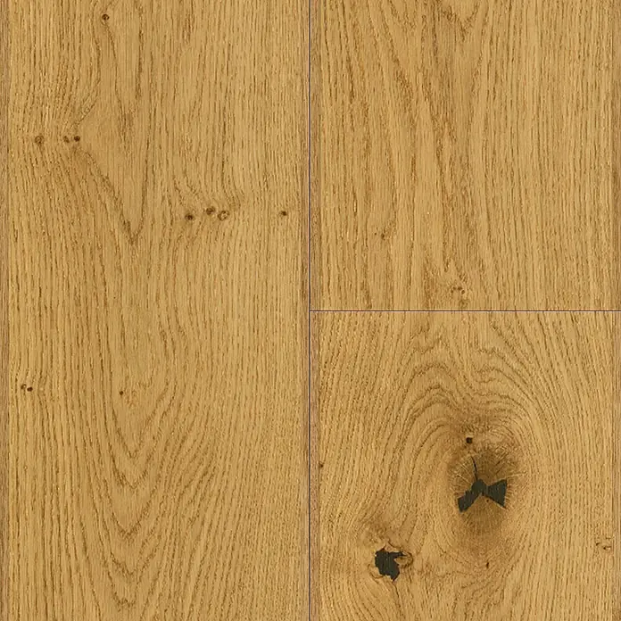 Parador Parkettmuster Basic 11.5 Rustikal Eiche - 200 x 185 x 11,5 mm, Landhausdiele - Detailaufnahme eines hellen Eichenparkettbodens mit charakteristischen Maserungen und Astlöchern für einen natürlichen Look.