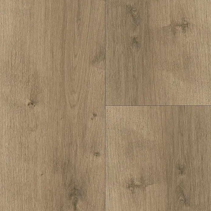 Parador Designbodenmuster Modular ONE Eiche Pure perlgrau - 200 x 194 x 8 mm, Landhausdiele, Pergrau - Detailaufnahme eines Bodenbelags mit Holzoptik. Die Oberfläche ist hellbraun und weist eine natürliche Maserung und Astlöcher auf.