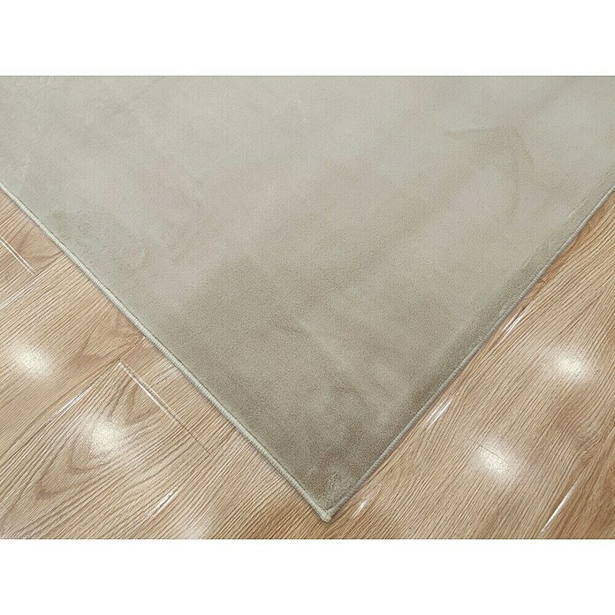 Alfombra de pelo corto Aiden (Arena, 170 x 120 cm, Poliéster) | BAUHAUS