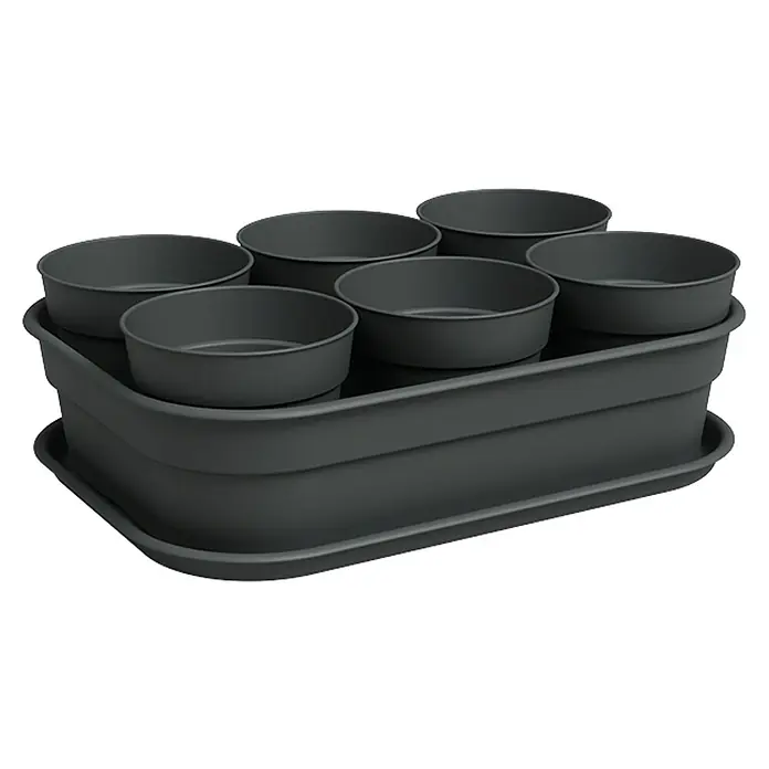 Artevasi Madagascar to Grow Anzuchtschale S - Außenmaß (L x B x H): 24 x 17 x 6 cm, Kunststoff, Anthrazit - Eine schwarze Muffinform mit sechs runden Förmchen und einer passenden schwarzen Basis, ideal zum Backen von Muffins.