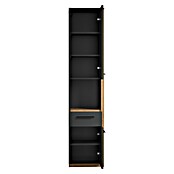 Trendteam Synnax Hochschrank (35 x 31 x 157 cm, Coast Evoke Eiche/Anthrazit, Anschlag: Rechts) | BAUHAUS