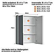 Trendteam Wons Spiegelschrank (B x H: 60 x 78 cm, Ohne Beleuchtung, Holz, Weiß) | BAUHAUS