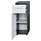 Trendteam Line Unterschrank (30 x 31 x 80 cm, Sardegna Silber/Weiß) | BAUHAUS