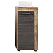 Trendteam Cancun Unterschrank (36 x 31 x 81 cm, Nussbaum-Touchwood) | BAUHAUS