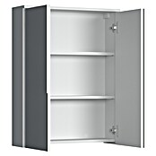 Trendteam Wons Spiegelschrank (B x H: 60 x 78 cm, Ohne Beleuchtung, Holz, Weiß) | BAUHAUS