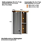 Trendteam Landside Hängeschrank (46 x 24 x 73 cm, Lichtgrau/Artisan Eiche) | BAUHAUS