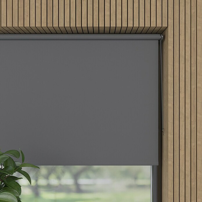 Verdunkelungsrollo Mini Colormatch (B x H: 70 x 150 cm, Anthrazit) | BAUHAUS