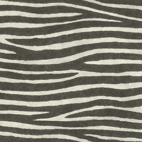 Rasch African Queen III Vliestapete Zebrafell