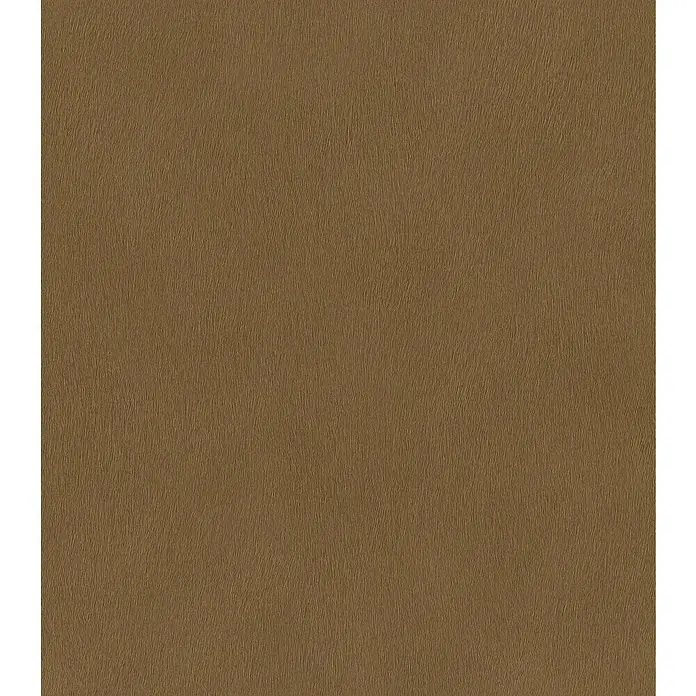 Rasch African Queen III Vliestapete Felloptik - Goldbraun, Uni, 10,05 x 0,53 m - Brauner Stoff mit subtiler Textur, ideal für hochwertige Designprojekte. Die feine Maserung verleiht jedem Projekt Wärme und Eleganz.