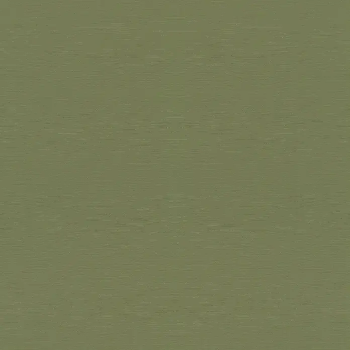 Rasch Tropical House Vliestapete - Moosgrün, Uni, 10,05 x 0,53 m - Grüner Textilhintergrund mit subtiler Textur, ideal für vielseitige Designprojekte und zur Präsentation von Produkten im Fokus.