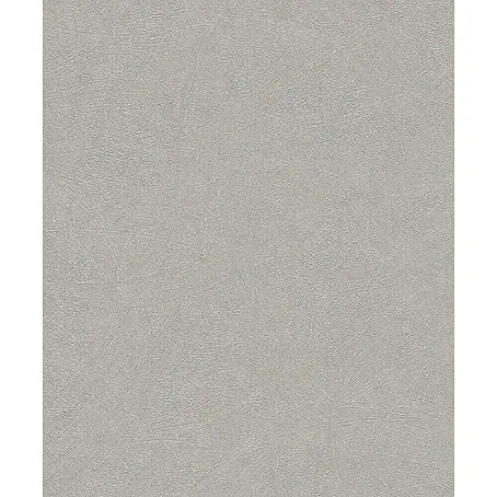 Rasch Wall Textures VI Vliestapete Strukturierter Putz-Uni