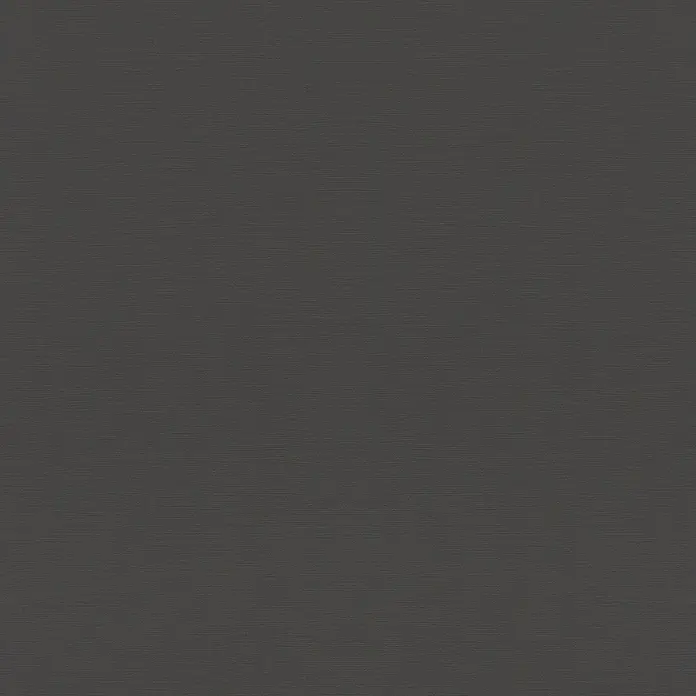 Rasch Tropical House Vliestapete - Schwarz, Uni, 10,05 x 0,53 m - Strukturierte, graue Hintergrundtextur mit subtilen horizontalen Linien, ideal für Designprojekte.