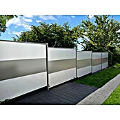 Kraus Dino Pro Sichtschutzelement Dino Protect Basis-Set (B x H: 240 mm x 160 cm, Aluminium) | BAUHAUS