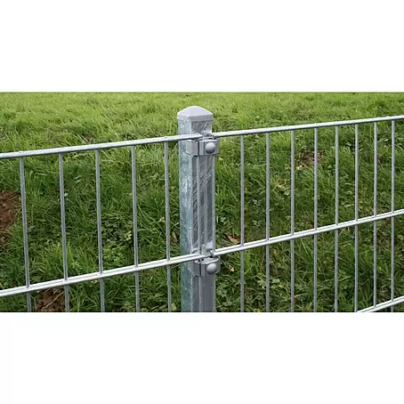 Kraus  Zaunpfosten