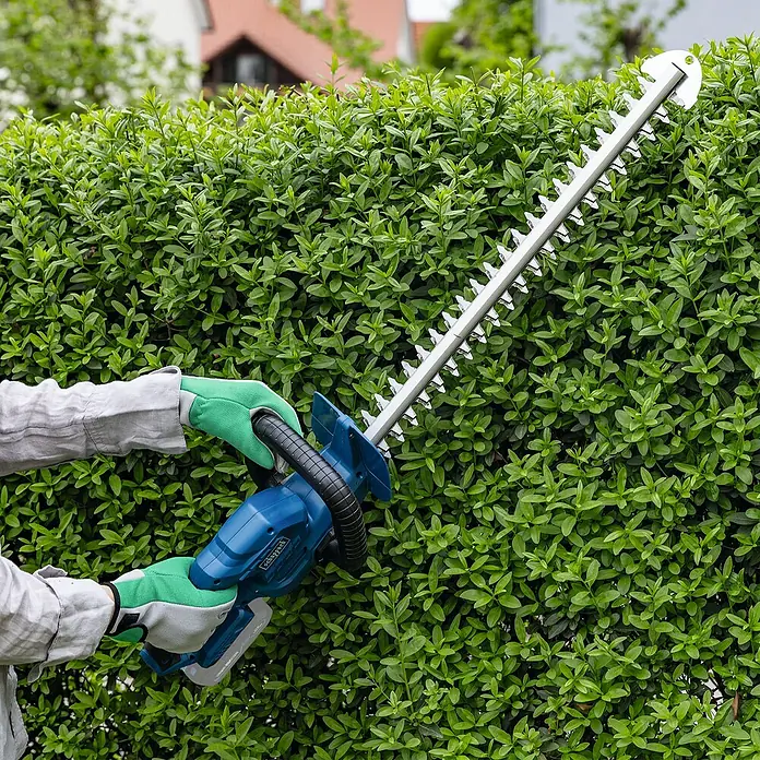 Scheppach IXES 20V Akku-Heckenschere C-HT570-X - 20 V, Li-Ionen, Ohne Akku, Schnittlänge: 51 cm - Eine Person bedient eine Scheppach Heckenschere, um eine grüne Hecke zu schneiden. Das Gerät ist blau und schwarz mit silbernen Klingen.