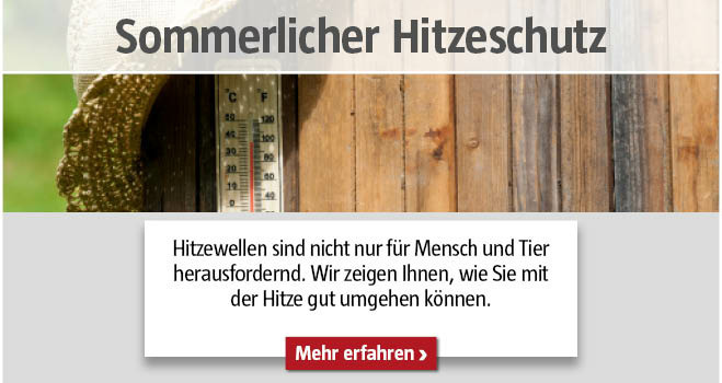 Hitzeschutz