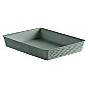 Tatay Bohol Organizador A4 (L x An x Al: 26,5 x 35 x 5,5 cm, Verde sage) | BAUHAUS