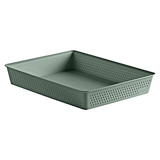 Tatay Bohol Organizador A4 (L x An x Al: 26,5 x 35 x 5,5 cm, Verde sage)