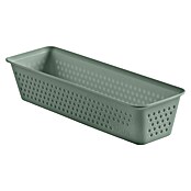 Tatay Bohol Organizador Slim (L x An x Al: 8,5 x 26 x 5,5 cm, Verde sage) | BAUHAUS