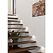 Eglo LED vgradni žaromet Mecinos  (Bela, Do x Š x V: 80 x 80 x 3 mm, Toplo bela) | Vgradni žarometi | Reflektorji in žarometi | Svetila | Elektro in svetila | Izdelki | BAUHAUS