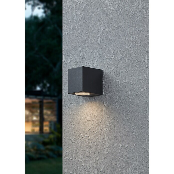 Eglo Plafón para pared y techo exterior Jabaga (An x Pr x Al: 7 x 9 x 8 cm, 4,6 W, Negro, IP44, Blanco cálido) | BAUHAUS