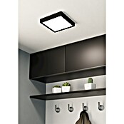 Eglo Led-plafondlamp FUEVA (l x b x h: 21 x 21 x 2,8 cm, Zwart / Wit) | BAUHAUS