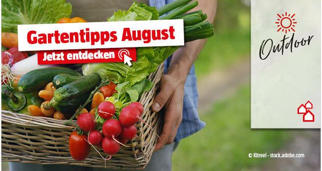 Gartentipps August