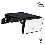 LED reflektor sa senzorom  (8 W, 1.000 lm, Boja svjetla: Hladna bijela, IP54) | BAUHAUS