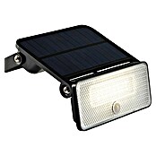 LED reflektor sa senzorom  (8 W, 1.000 lm, Boja svjetla: Hladna bijela, IP54) | BAUHAUS