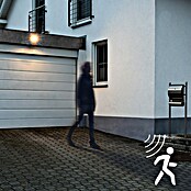 LED reflektor sa senzorom  (8 W, 1.000 lm, Boja svjetla: Hladna bijela, IP54) | BAUHAUS