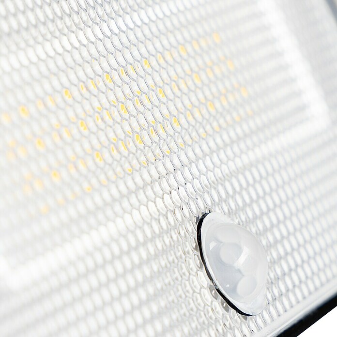LED reflektor sa senzorom  (8 W, 1.000 lm, Boja svjetla: Hladna bijela, IP54) | BAUHAUS