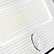 LED reflektor sa senzorom  (8 W, 1.000 lm, Boja svjetla: Hladna bijela, IP54) | BAUHAUS