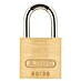 Abus Lokoti 