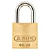 Abus Lokoti 