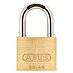Abus Lokoti C/DFNLI 