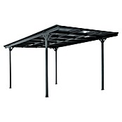 Ximax Carport Eco (Außenmaß inkl. Dachüberstand (B x T): 3 x 5,03 m, Einzelcarport, Anthrazit) | BAUHAUS