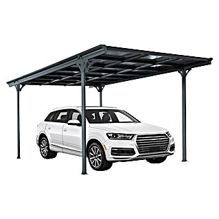 Ximax Carport Eco (Außenmaß inkl. Dachüberstand (B x T): 3 x 5,03 m, Einzelcarport, Anthrazit)