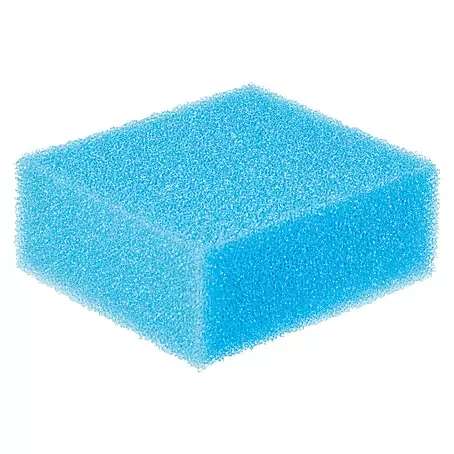 Oase  Ersatzschwamm