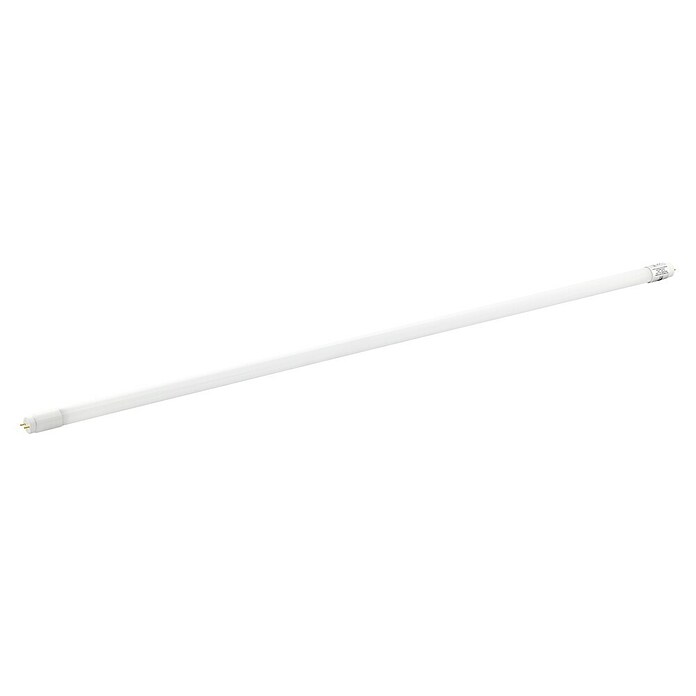 Eglo LED-Röhre (Länge: 59 cm, Neutralweiß, 10 W, 1 650 lm, G13) | BAUHAUS