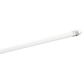 Eglo LED-Röhre (Länge: 59 cm, Neutralweiß, 10 W, 1 650 lm, G13) | BAUHAUS