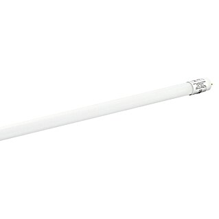 Eglo Tubo LED T8 (Largo: 121,4 cm, Blanco neutro, 15 W, 1.700 lm, G13)