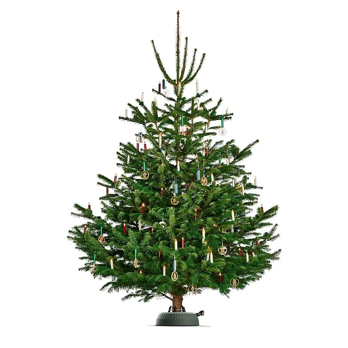 Krinner Christbaumständer X-440 Deluxe - Rund, Max_Baumlaenge: 4,4 Meter (m) - Festlicher Weihnachtsbaum mit Kerzen und Ornamenten, der traditionelle Feiertagsstimmung verbreitet.