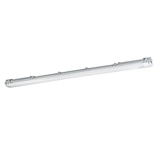 Eglo Svetilka za vlažne prostore Basic (30 W, Siva, Nevtralno bela, 126 cm, 9,9 cm)