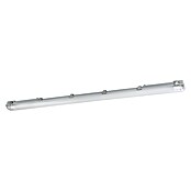 Eglo Feuchtraumleuchte Basic Plus (30 W, Grau, Neutralweiß, 126 cm, 9,9 cm) | BAUHAUS