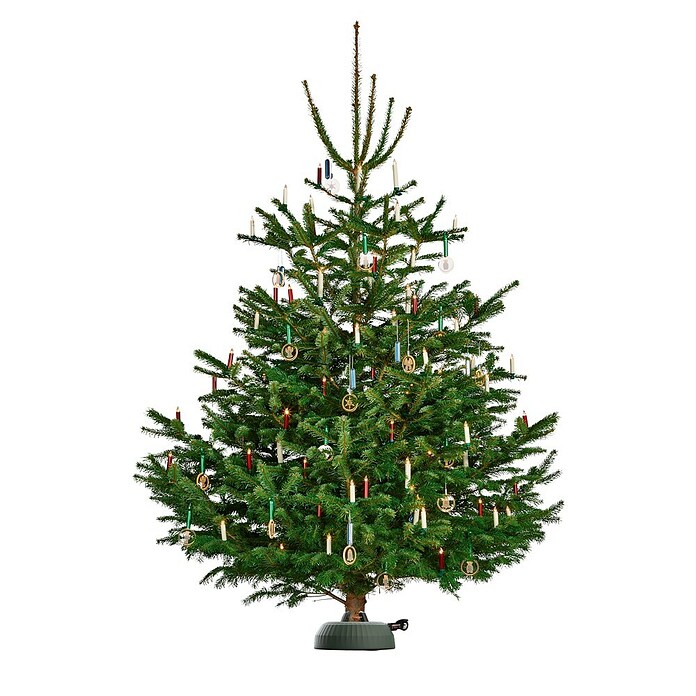 Krinner Christbaumständer X-320 Deluxe (Max. Baumlänge: 3,2 m, Max. Stammdurchmesser: 12 cm, Fassungsvermögen Wassertank: 4,5 l, Rundum-Einseil-Technik) | BAUHAUS