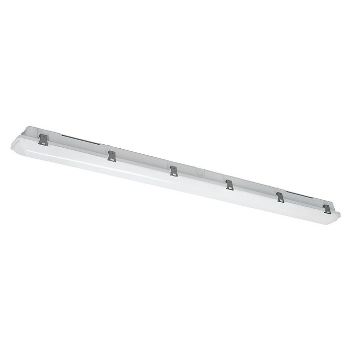 Eglo Feuchtraumleuchte Expert Ammoniak (38 W, L x B x H: 149 x 8,5 x 8 cm, Grau, Warmweiß) | BAUHAUS