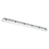 Eglo Feuchtraumleuchte Expert Ammoniak (38 W, L x B x H: 149 x 8,5 x 8 cm, Grau, Warmweiß) | BAUHAUS