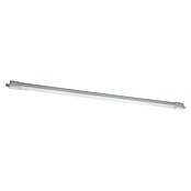 Eglo Feuchtraumleuchte Slim (48 W, L x B x H: 155 x 5,8 x 5,5 cm, Weiß, Neutralweiß) | BAUHAUS