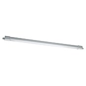 Eglo Zidna i stropna svjetiljka Slim  (32 W, D x Š x V: 115,5 x 5,8 x 5,5 cm, Neutralno bijelo) | BAUHAUS