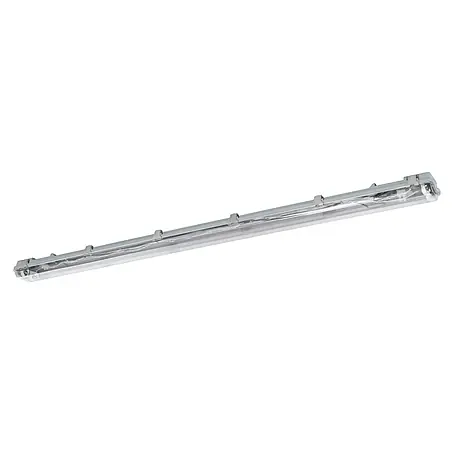 Eglo  Feuchtraumleuchte Expert Basic Plus